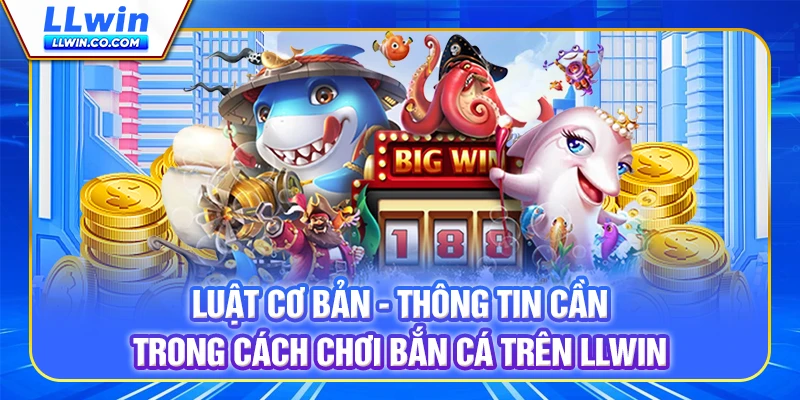Luật cơ bản - Thông tin cần trong Cách chơi bắn cá trên LLWIN