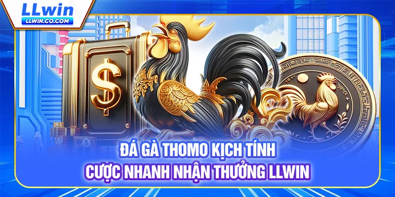 Đá Gà Thomo Kịch Tính, Cược Nhanh Nhận Thưởng LLWIN 1 Đá Gà Thomo Kịch Tính, Cược Nhanh Nhận Thưởng LLWIN
